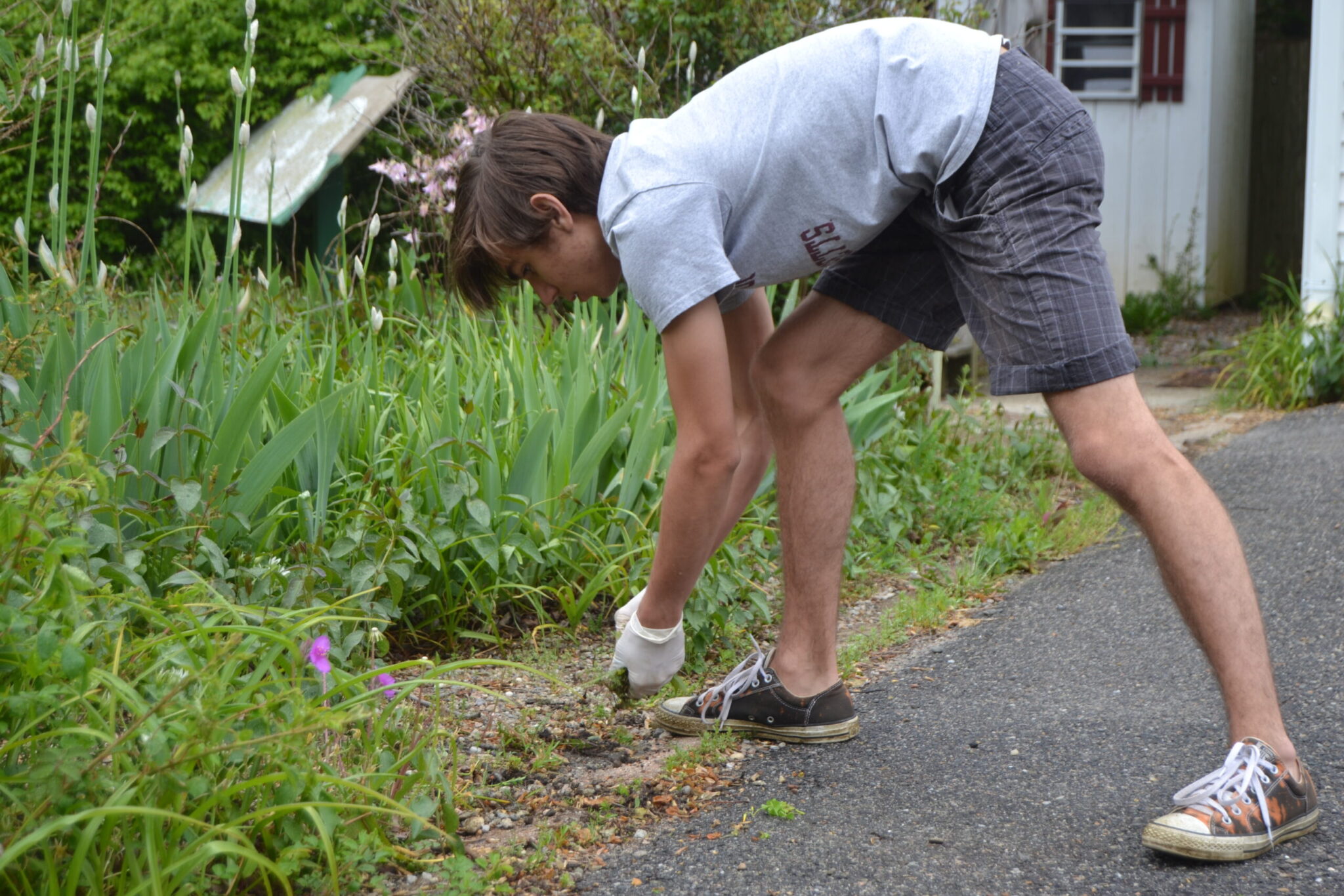 Student Gardening